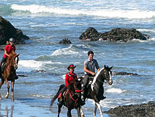 USA-California-Mendocino Coast Getaway